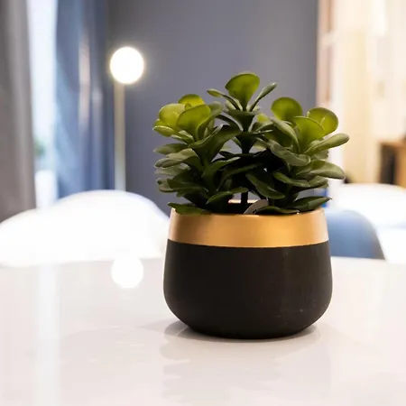 Apartament Le St Germain - Petillant Decore Avec Gout En Centre-ville Lyon